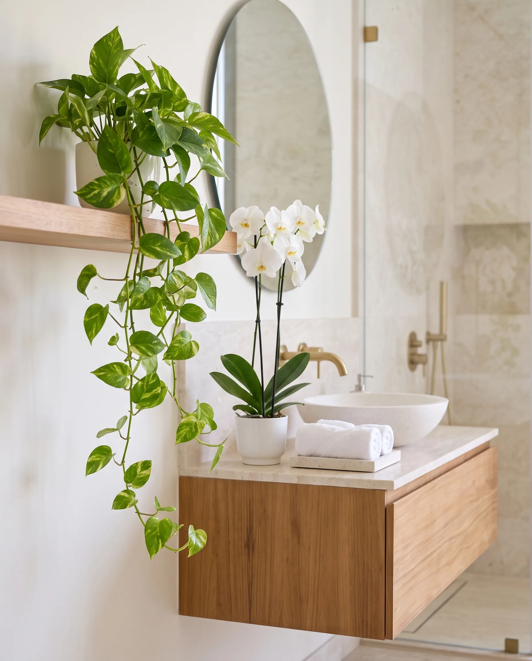 A white moth orchid on a travertine vanity with pothos trailing from a teak shelf in a Dubai villa bathroom