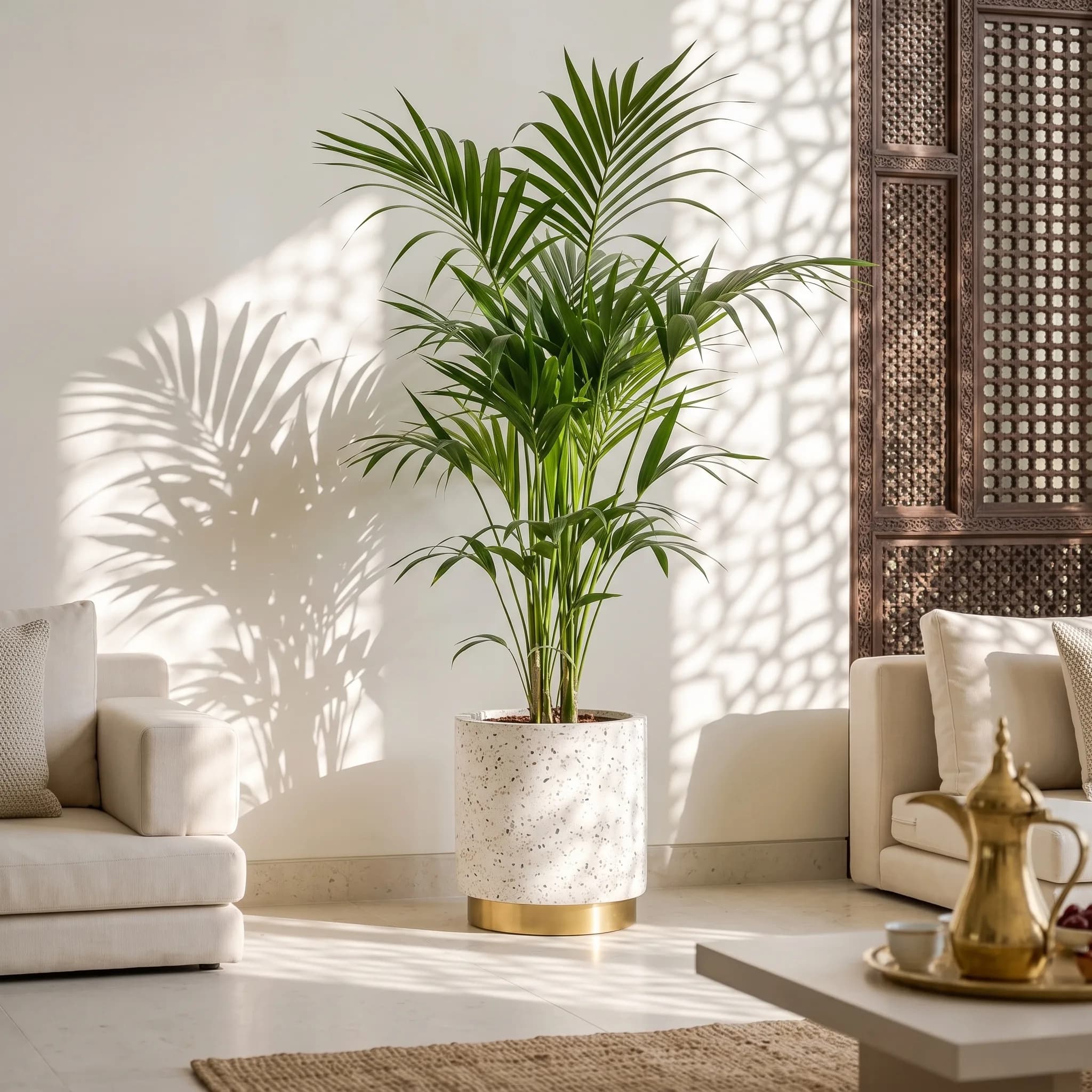 An areca palm in a brass and terrazzo planter with geometric mashrabiya light on the wall